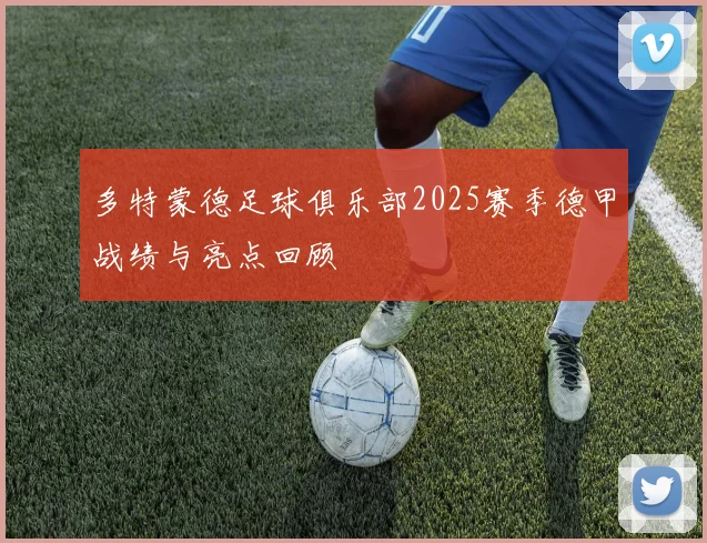 多特蒙德足球俱乐部2025赛季德甲战绩与亮点回顾