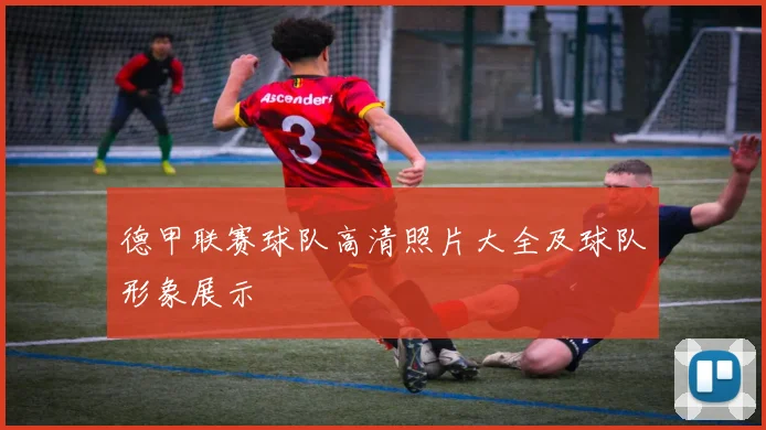 德甲联赛球队高清照片大全及球队形象展示