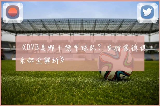 《BVB是哪个德甲球队？多特蒙德俱乐部全解析》